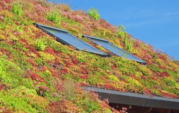 Llangewydd Court living roof systems